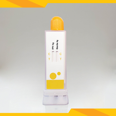 FPV+Giardia Lamblia Antygen Combo Test Kit: Czułość i stabilność